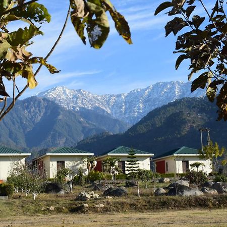 Dhauladhar View Village Resort Dharamshala Luaran gambar