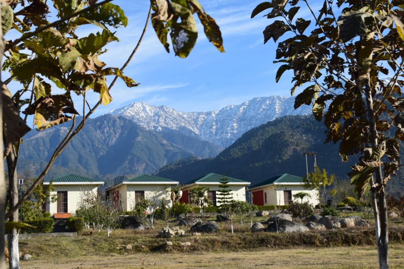Dhauladhar View Village Resort Dharamshala Luaran gambar